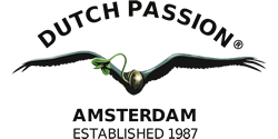 Dutch Passion Seeds