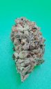 KC Brains Auto Zkittlez 36 <sup>®</sup> (Автоцветущие феминизированные)